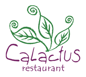 logo _calactus